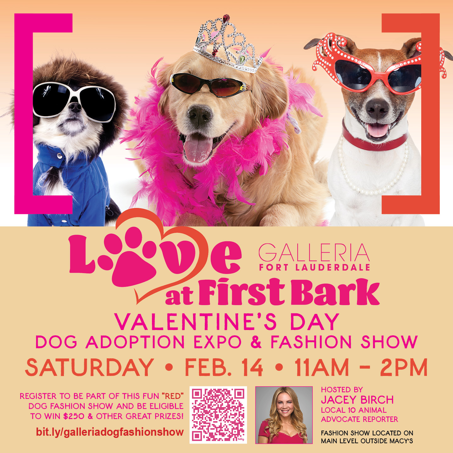 Three dogs wearing festive accessories pose in front of a pink Valentine’s Day event poster for "Love at First Bark" dog adoption expo and fashion show at Galleria Fort Lauderdale, Feb. 14, 11AM-2PM. South Florida Business & Wealth