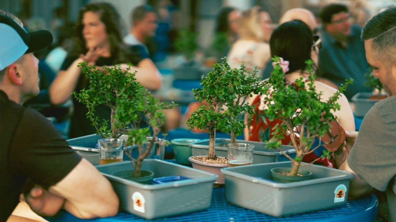 People sit around blue tables outdoors, each table featuring small potted bonsai trees placed in plastic containers alongside drinks, as they engage in conversation in a relaxed, social setting. South Florida Business & Wealth