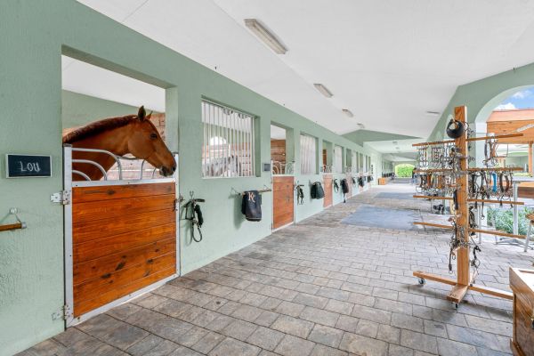 A clean, well-lit horse stable with several stalls, each with a wooden door and a horse visible in one stall. Tack and equipment hang neatly on the walls, and saddle racks are in the aisle. South Florida Business & Wealth