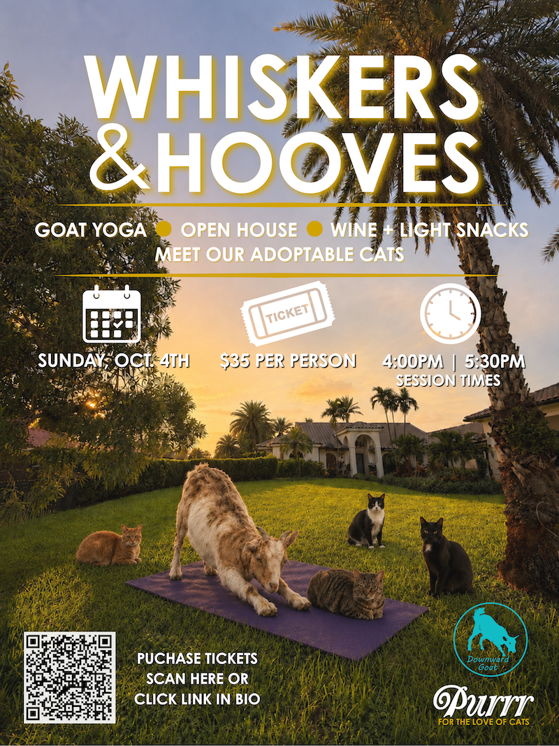 A dog and several cats gather on a lawn at sunset. Event details for a goat yoga and cat adoption open house are displayed, with ticket info, date, and time. South Florida Business & Wealth