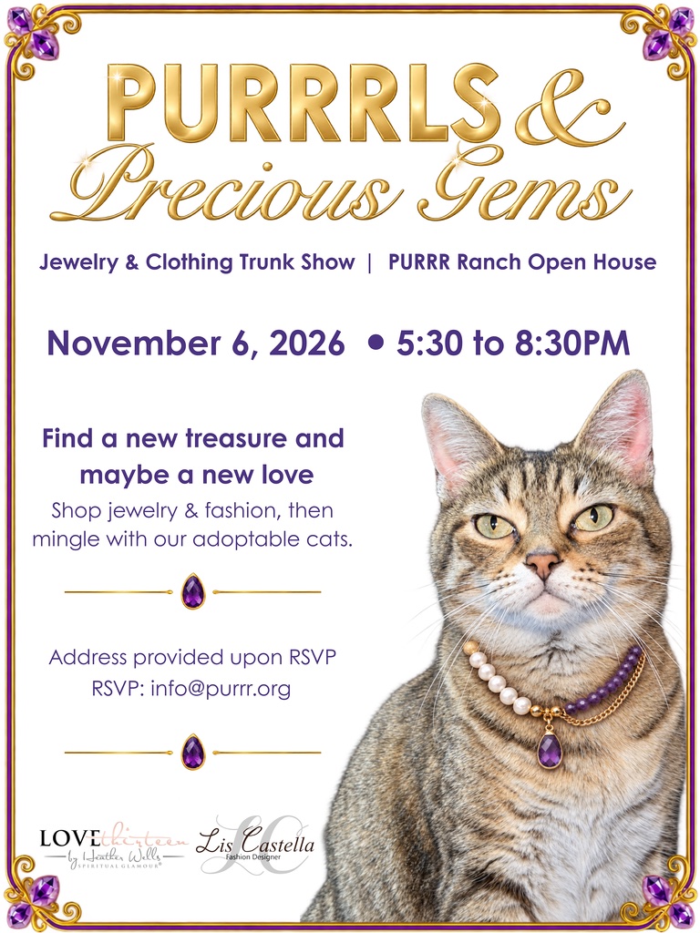 Event flyer for “PURRRLS & Precious Gems” Jewelry & Clothing Trunk Show on November 6, 2026, featuring a tabby cat wearing a pearl and purple stone necklace. South Florida Business & Wealth